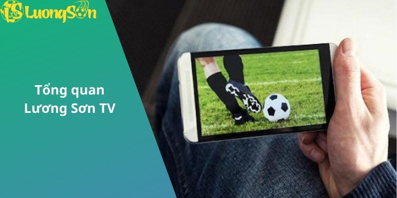 Giới thiệu nền tảng Lương Sơn TV